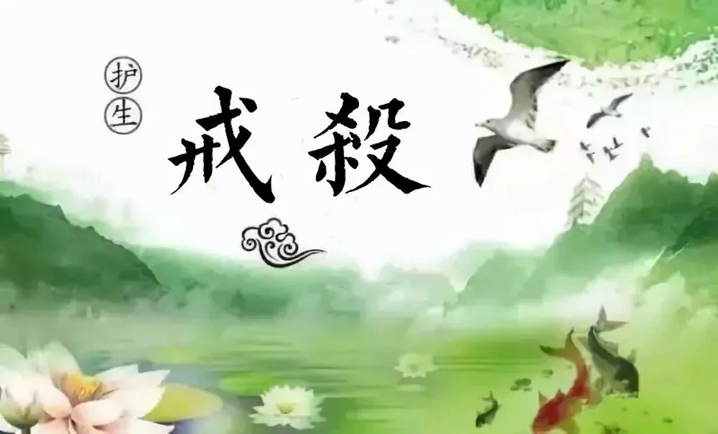 【持戒法语48】《大集经》：不杀生有十种功德！