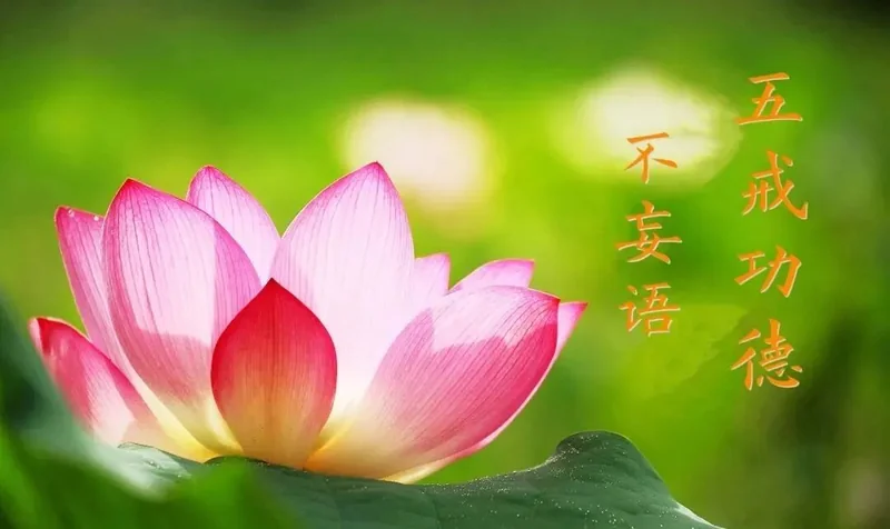 【持戒法语51】《大集经》：不妄语获十种功德！