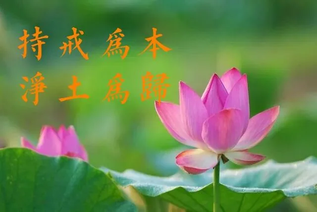 【持戒法语54】蕅益大师：持戒便是平心，\u200b念佛便是直行！
