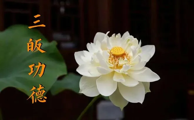 【佛经故事】天子受皈，免堕猪身！（二）